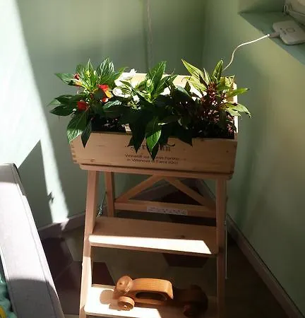 Lägenhet Oltretorrente 15